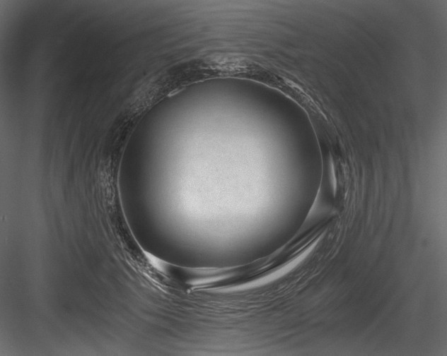 X0000084570609200702231301