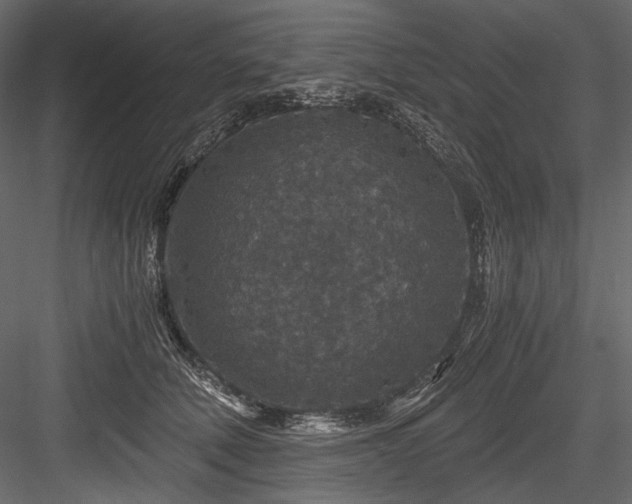 X0000084570610200702231301