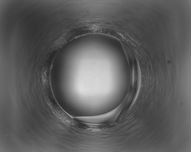 X0000084570611200702231301