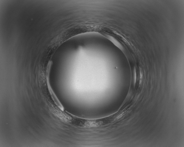 X0000084570613200702231301