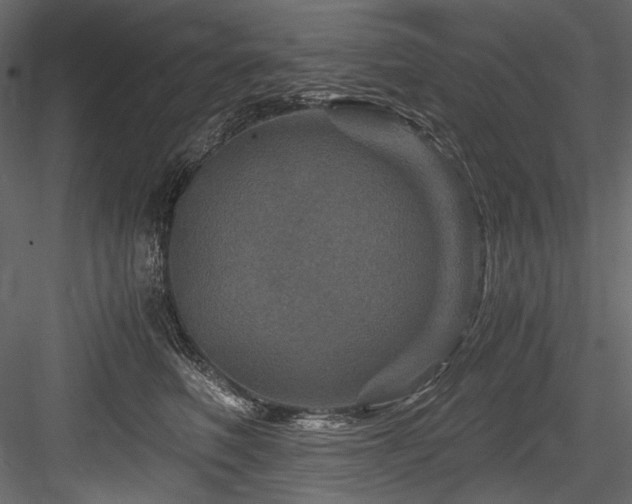 X0000084570614200702231301