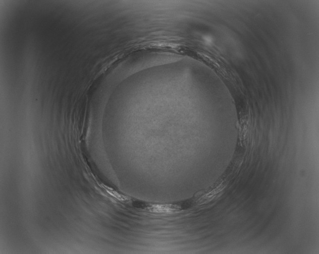 X0000084570623200702231301