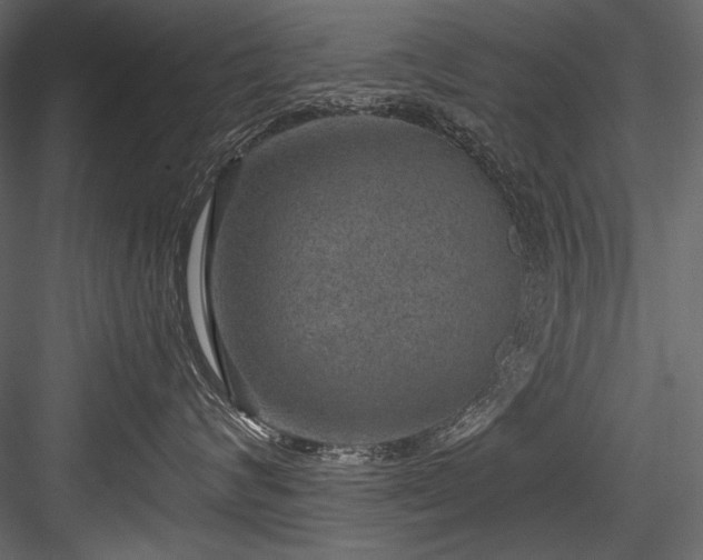 X0000084570624200702231300