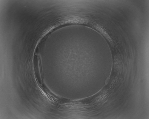 X0000084570626200702231300