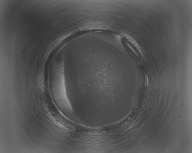 X0000084570627200702231300