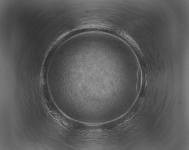 X0000084570628200702231300