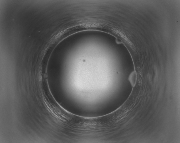 X0000084570631200702231300