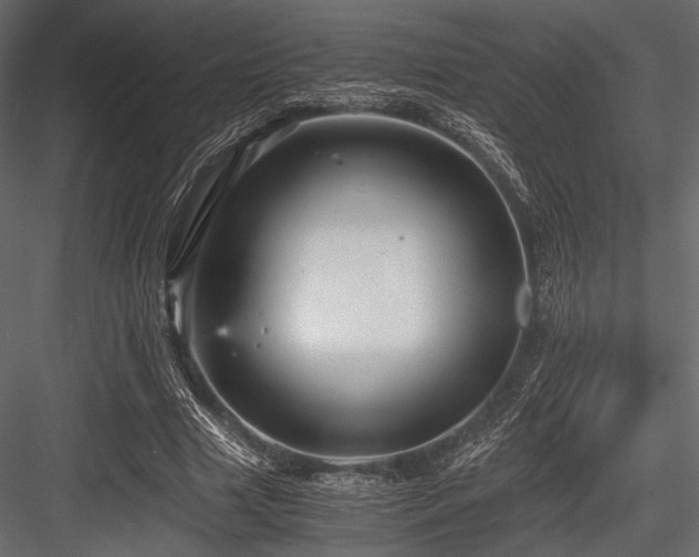 X0000084570633200702231300