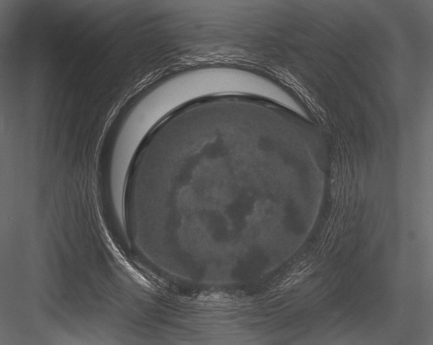X0000084570634200702231300