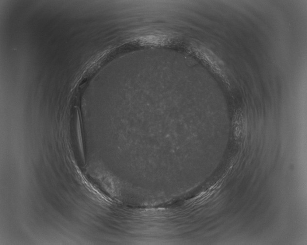 X0000084570637200702231300