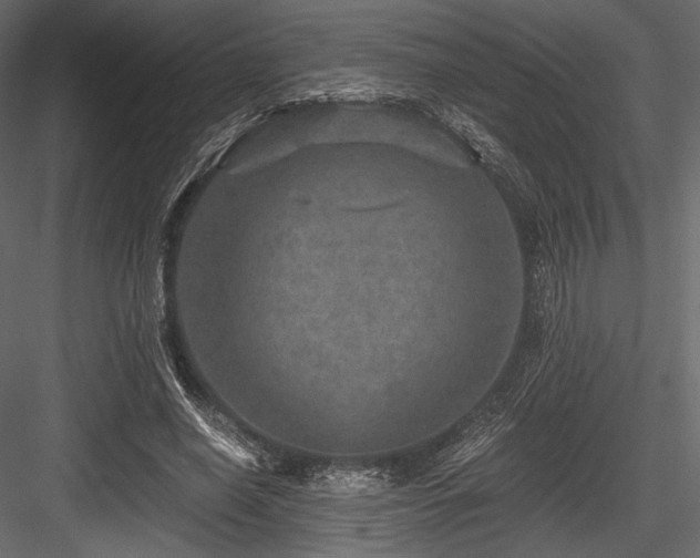 X0000084570638200702231300