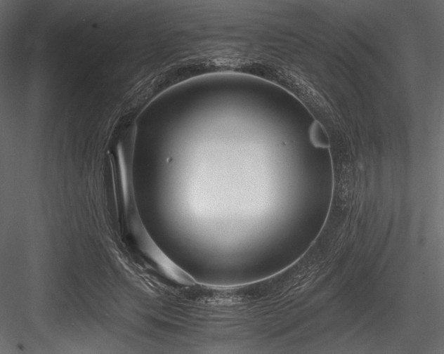 X0000084570639200702231300