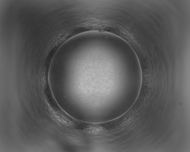 X0000084570642200702231300