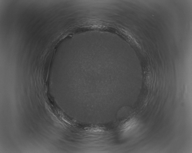 X0000084570643200702231300