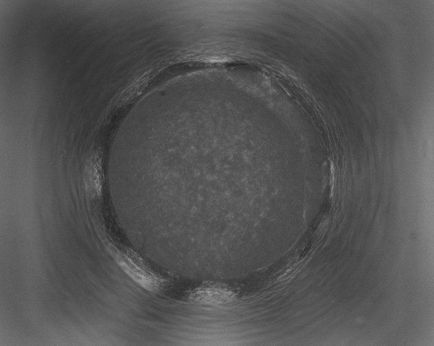 X0000084570644200702231300