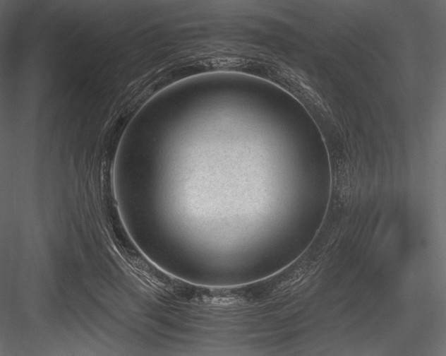 X0000084570645200702231300