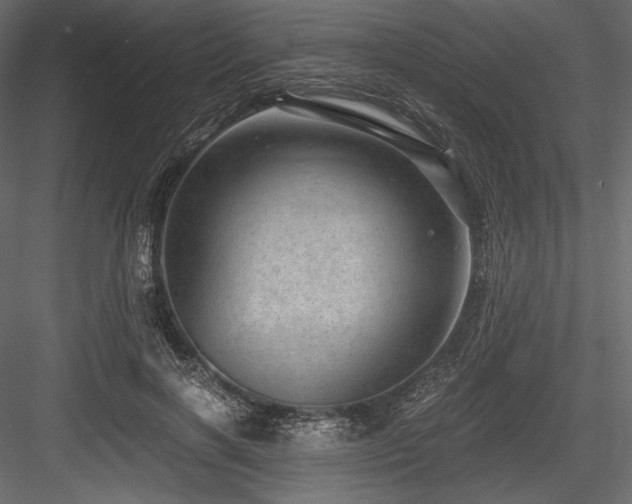 X0000084570646200702231300