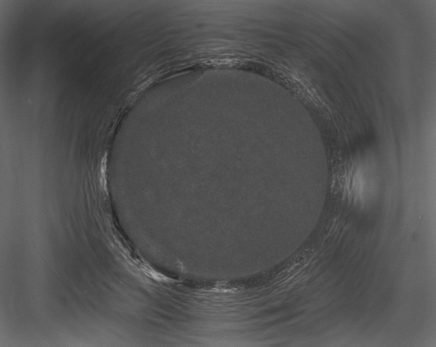 X0000084570647200702231300
