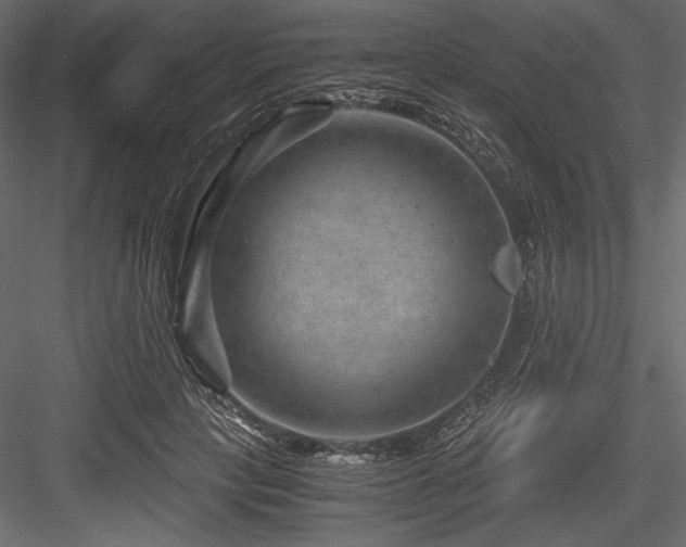 X0000084570649200702231300