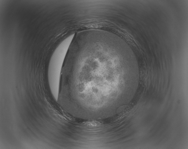 X0000084570652200702231300