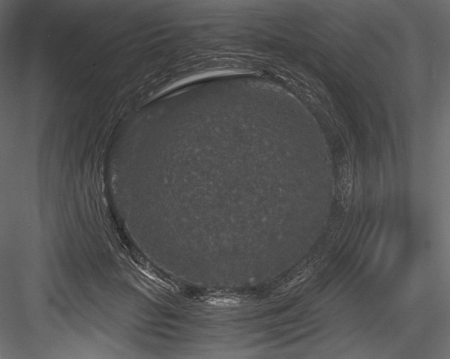 X0000084570653200702231300