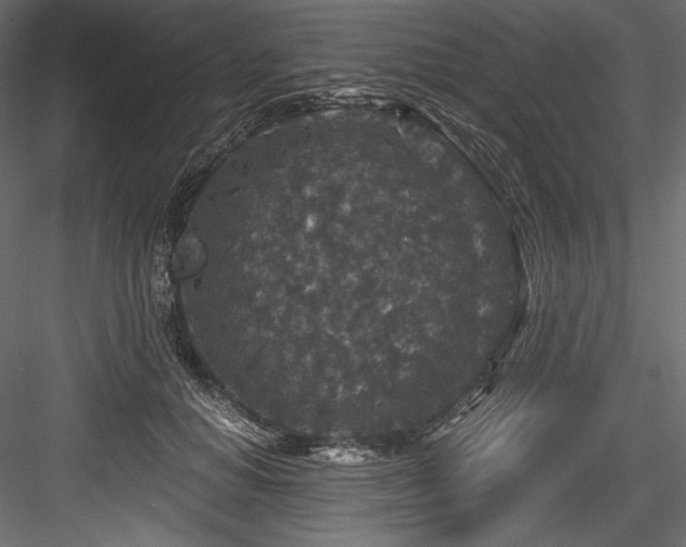 X0000084570654200702231300