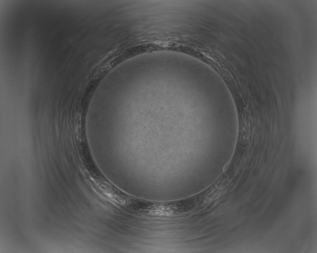 X0000084570656200702231300