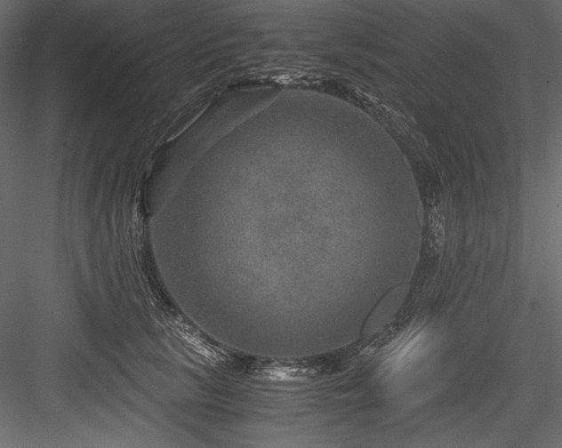 X0000084570657200702231300