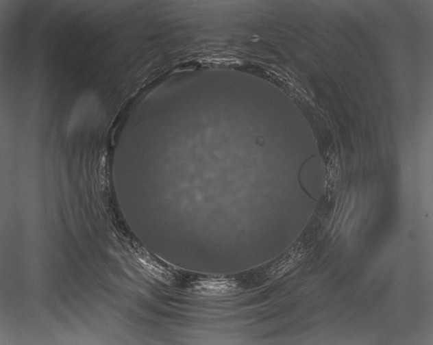 X0000084570659200702231300