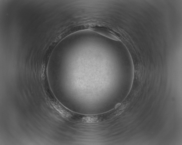 X0000084570660200702231300