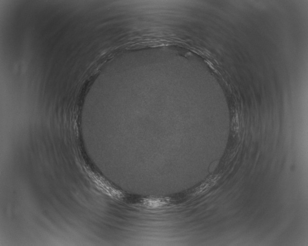 X0000084570662200702231300