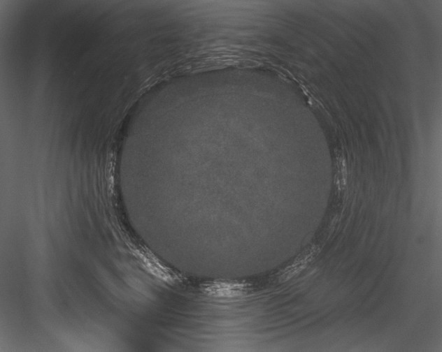 X0000084570664200702231300