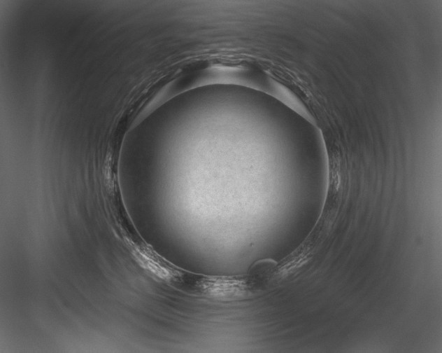 X0000084570670200702231300