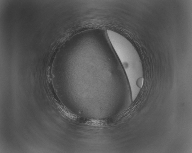 X0000084570672200702231300