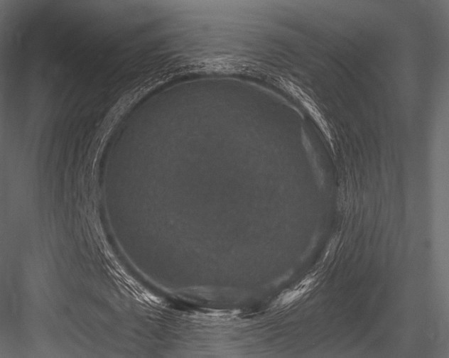 X0000084570673200702231300