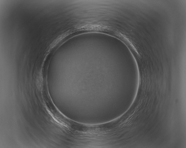 X0000084570674200702231300