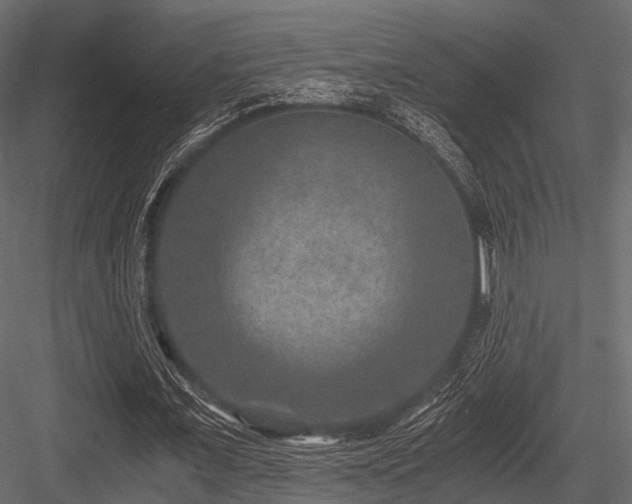 X0000084570675200702231300
