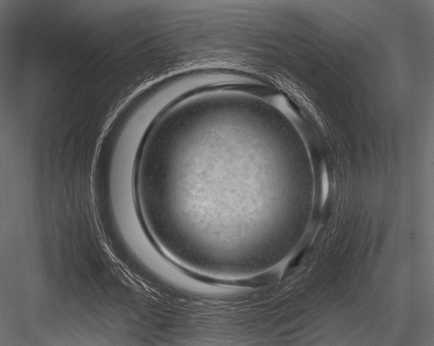 X0000084570676200702231300
