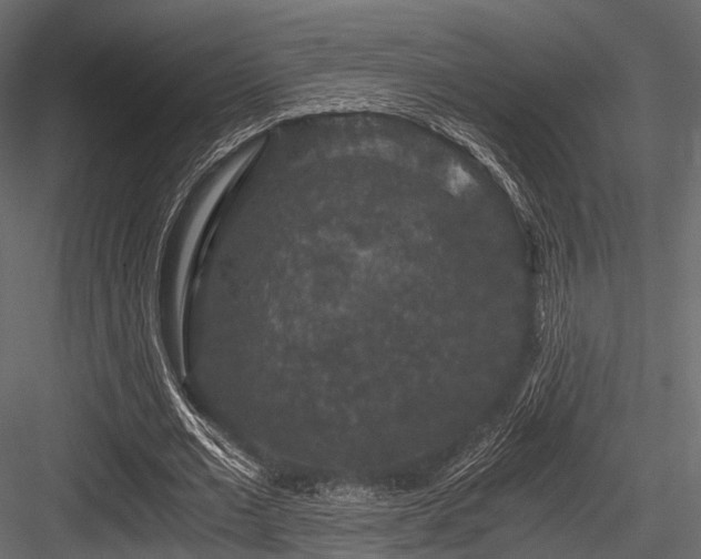 X0000084570677200702231300