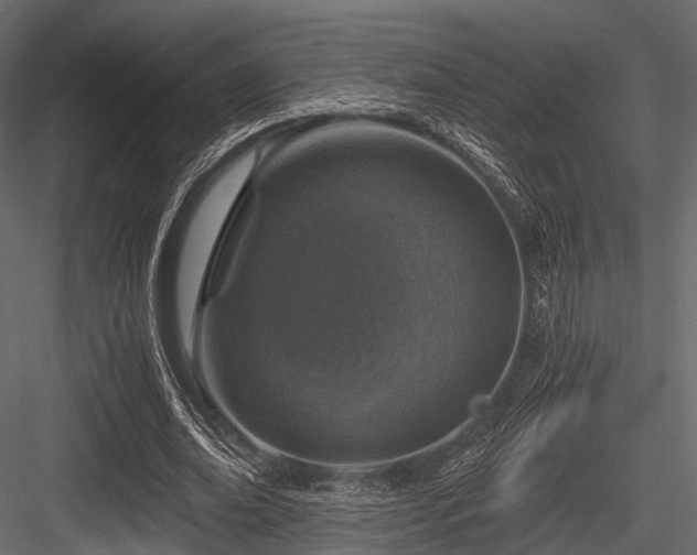 X0000084570678200702231300