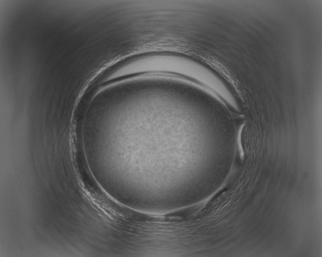 X0000084570680200702231300