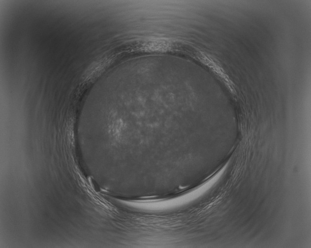 X0000084570681200702231300