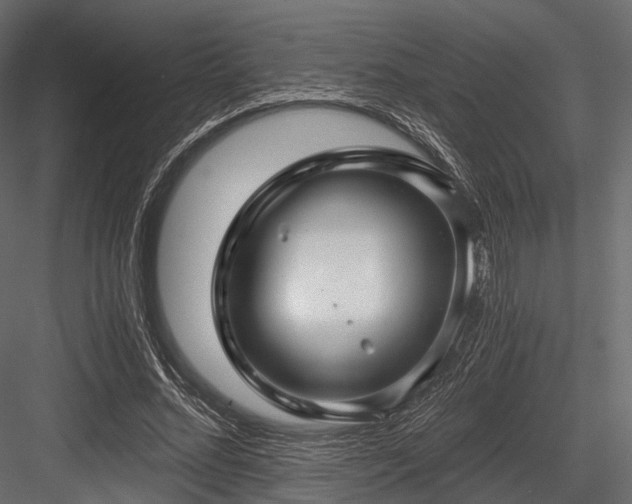 X0000084570684200702231259