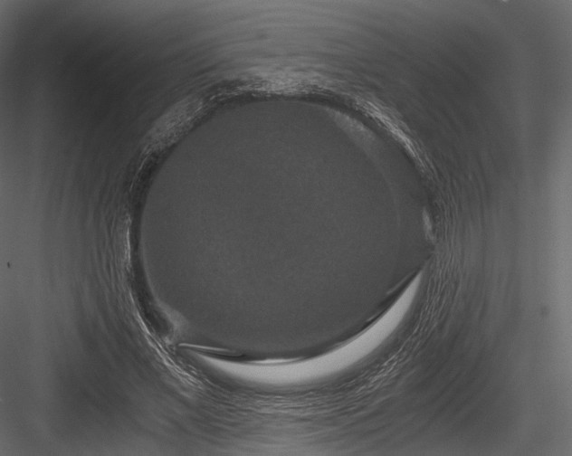 X0000084570685200702231259