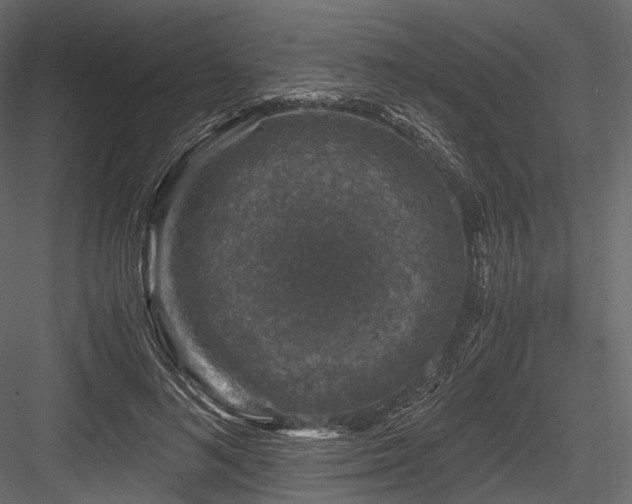 X0000084570692200702231259