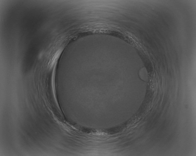 X0000084570695200702231259