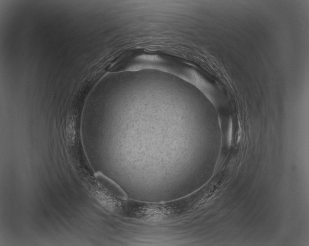X0000084570697200702231259