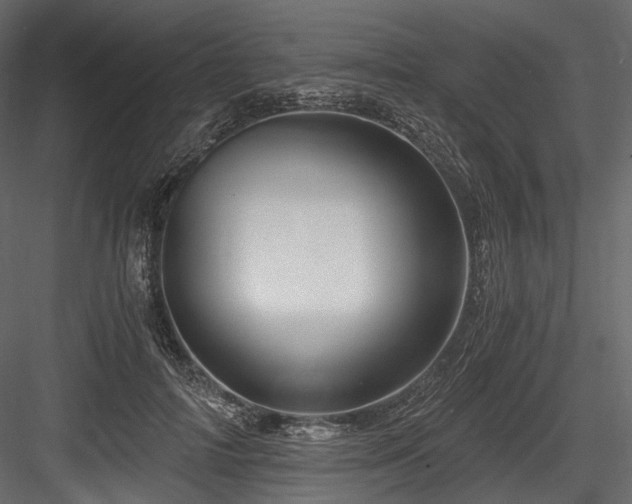 X0000084570698200702231259