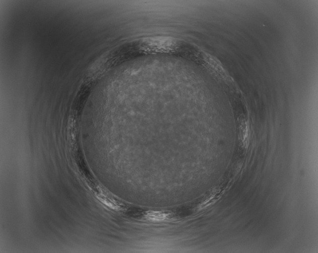X0000084570701200702231259