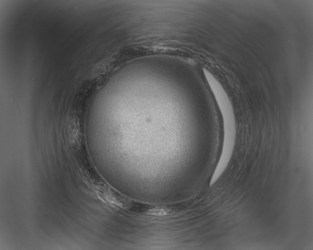 X0000084570704200702231259